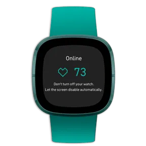 pulsoid fitbit support?