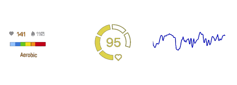 Heart rate graph, calories, zones, pulse on stream